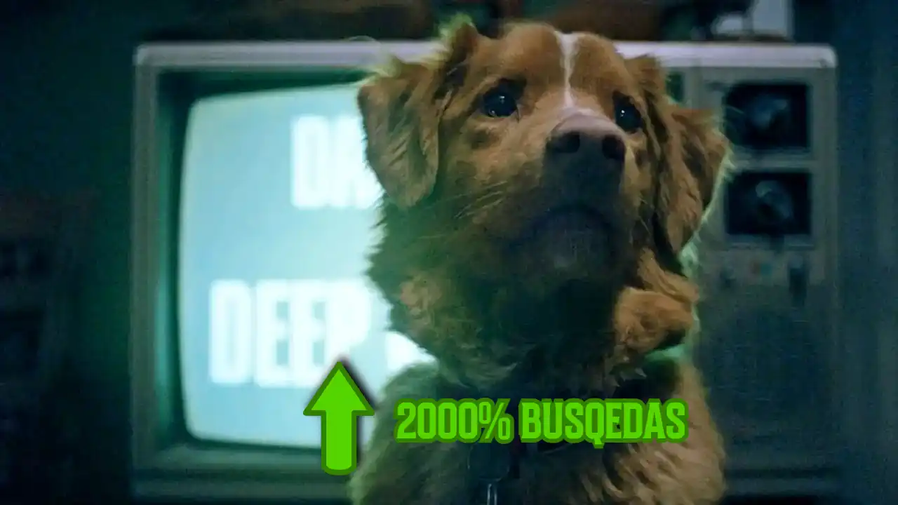 El perro de good boy muere sube busquedas en google