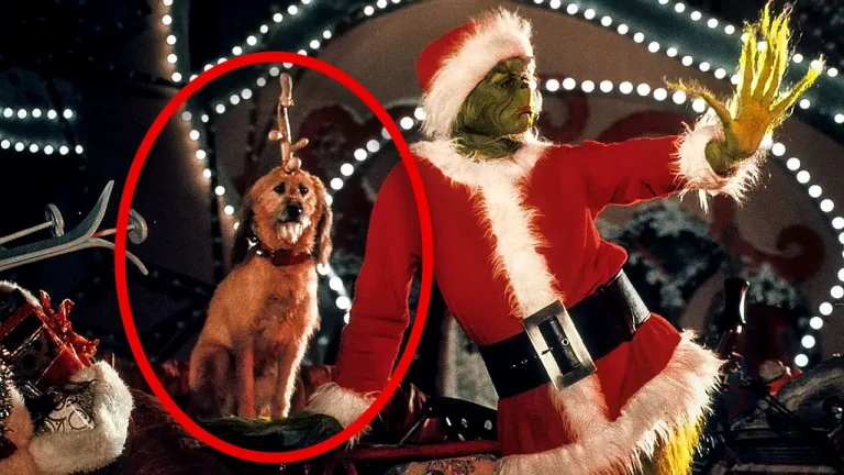 Max el perro del Grinch, de qué raza es