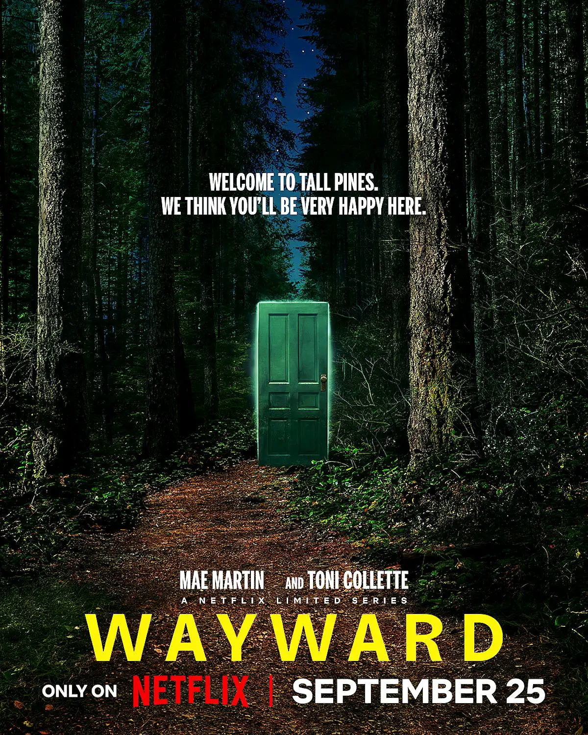 Wayward serie netflix